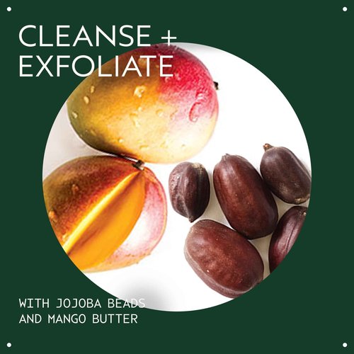 Aveda Botanical Kinetics Exfoliating Creme Cleanser | Increases Cell Turnover, Removes Skin-Dulling Surface Cells | with Mango Butter, 5 Fl Oz