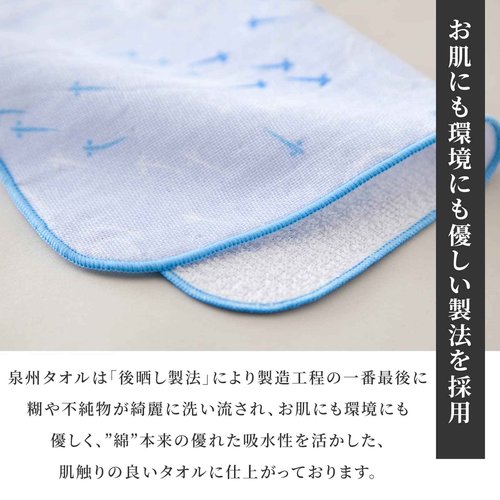 NOREN Japanese Cotton Towel Senshu (Osaka) Towel/Washcloth, Face Towel, Japanese Handkerchief/Made in Japan, 100% Cotton, Quick Drying, Absorbent, Ultra Soft, Thin, Traditional Japanese Pattern
