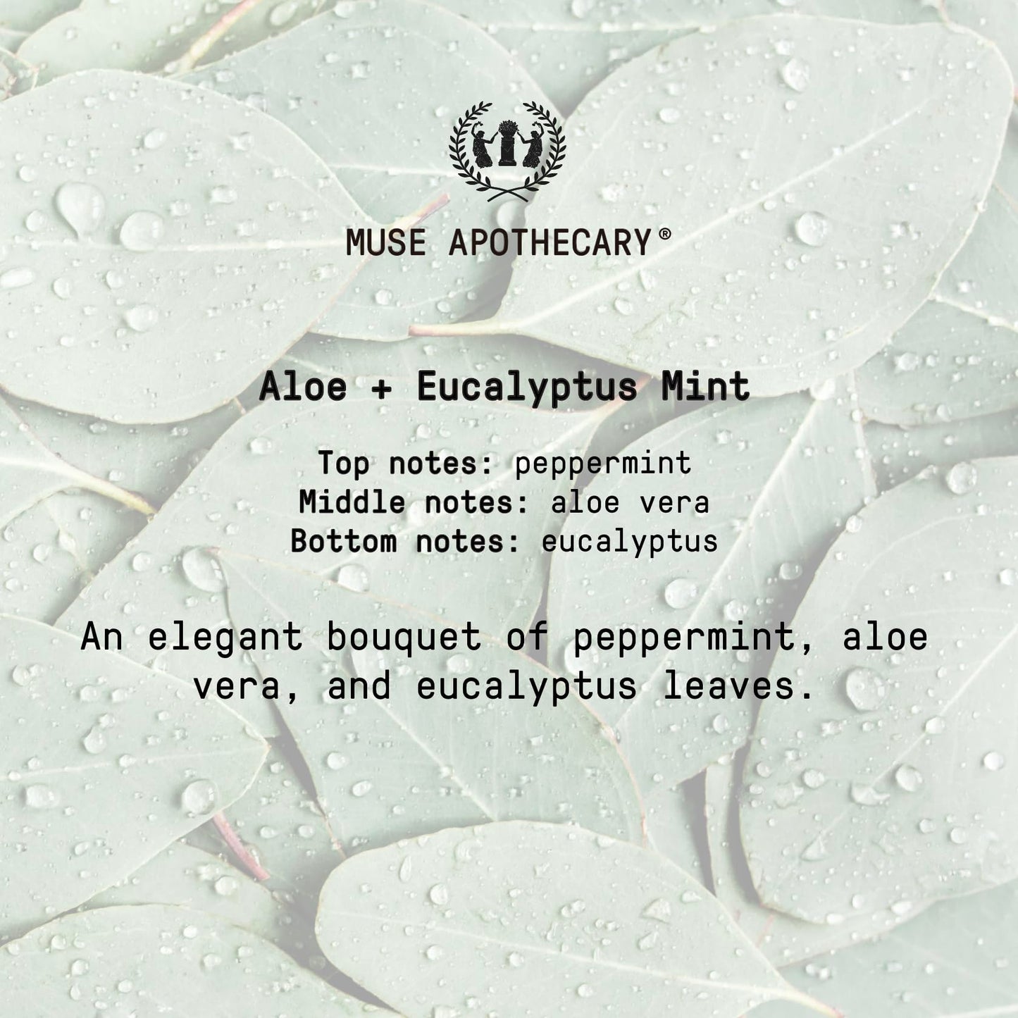 Muse Bath Apothecary Study Ritual - Aromatic and Invigorating Room Mist, 4 oz, Infused with Natural Essential Oils - Aloe + Eucalyptus Mint