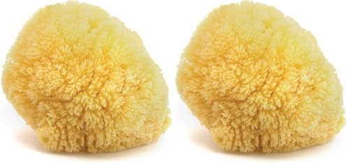 Neptune Caribbean Sea Sponge, Hand Cut, Large, Approx. 6-7 inches (Pack of 2)