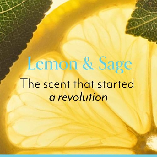 Bliss Seriously Smooth Lemon & Sage Duo: Body Butter Body Scrub | Exfoliate & Hydrate Skincare Set for Soft, Radiant Skin
