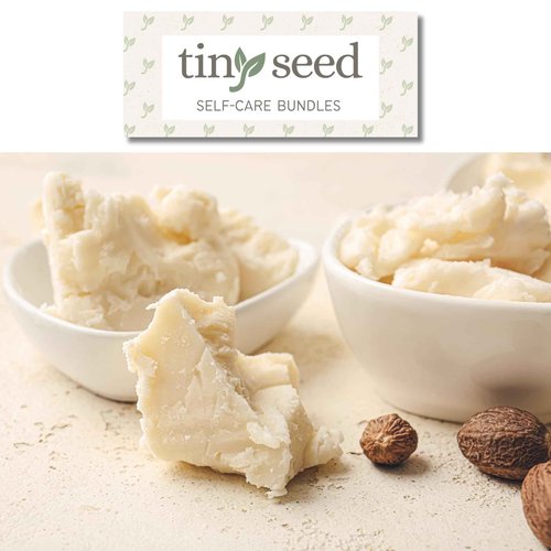 TINY SEED 2-Pack of Shea Body Wash. Raw Shea Butter & Mafura Oil Moisturizing Body Wash Cleanser For Men. Two 15 oz. Bottles Bundled with Natural Loofah Exfoliating Body Scrubber.