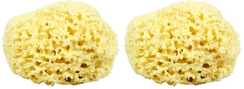Sea Wool Sponge - All Natural Honeycomb Renewable Sea Sponge, Hand Cut, Jumbo, Approx. 7 Inches (Pack of 2)