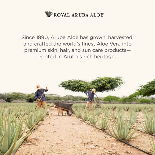 Aruba Aloe After-Sun Skin Repair Lotion - Hydrating and Soothing - Enriched with Aloe Vera - 4.2 oz Bottle