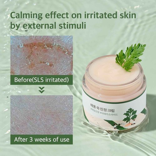 ROUND LAB Mugwort Calming Cream 80ml / Soothing, Moisturizing, Madecassoside, Calming Cream