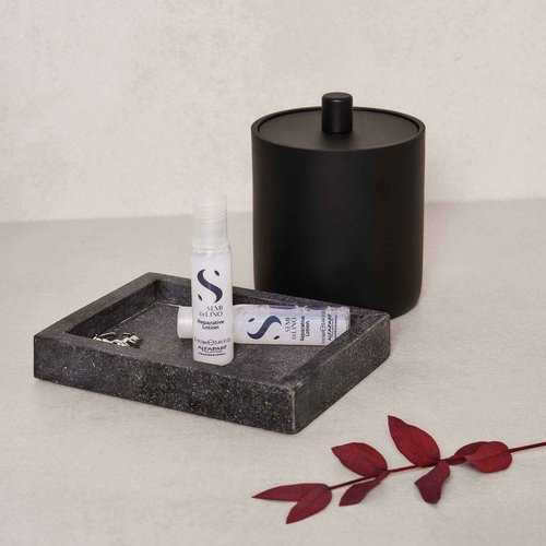 ALFAPARF MILANO Semi di Lino Reconstruction Reparative Lotion Treatment - Hair Repair for Damaged Hair, Adds Shine, Softness and Body - Thermal Protection - Anti Hair Breakage (6 Vials/2.64 oz)