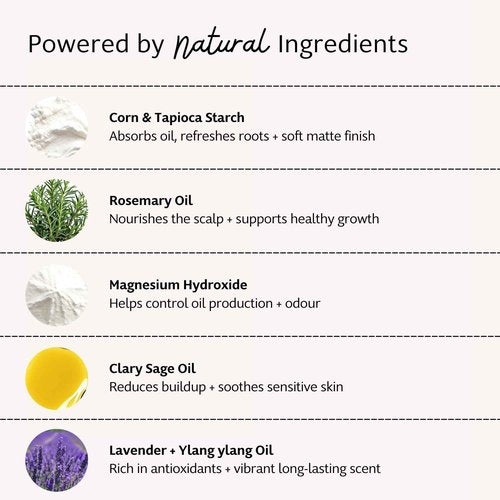 Slo | Natural Dry Shampoo Powder For Dark Hair - All Natural Ingredients, Vegan & Cruelty Free, Talc-Free Blend, Paper Packaging | Light Hair Lavender + Ylang Ylang | 2 Pack (2 x 1.23oz/35g)