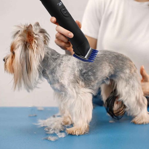 4 Sizes Professional Animal Dog Clipper Replacement Attachment Guard Guide Combs 1/8" 1/4" 3/8" 1/2" Compatible with Oster A5/6 Style Classic 76 Andis AG, BG Wahl KM2/10 Series Pet Groomer(Royal Blue)