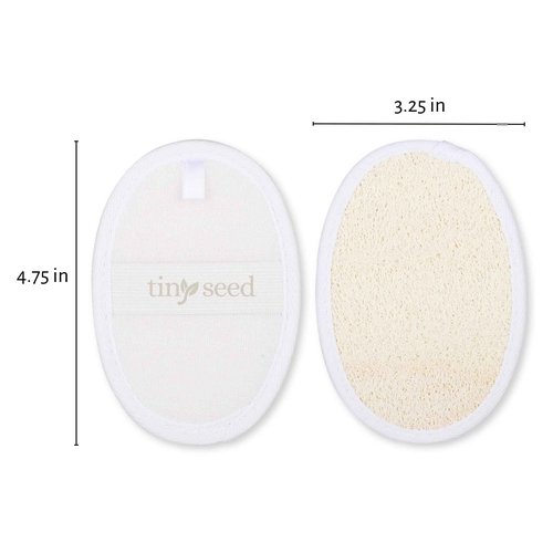 TINY SEED 2-Pack of Shea Body Wash. Raw Shea Butter & Mafura Oil Moisturizing Body Wash Cleanser For Men. Two 15 oz. Bottles Bundled with Natural Loofah Exfoliating Body Scrubber.