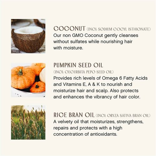 INNERSENSE Organic Beauty - Bright Balance Purple Toning Conditioner | Coconut + Pumpkin Seed Oil to Nourish + Moisturize Light + Gray Hair | Non-Toxic, Cruelty-Free | Paraben Free (10 fl oz | 295 ml)