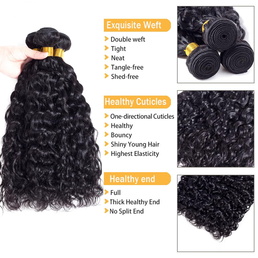 Water Wave Human Hair Bundles Brazilian Remy Water Wave Human Hair Bundles 10A Curly Human Hair 3 Bundles Unprocessed Human Hair Extension Double Weft Natural Color for Black Women 20 22 24inch