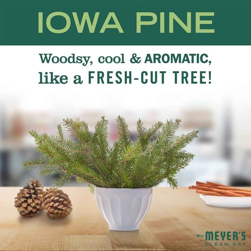 Mrs. MEYER'S CLEAN DAY Hand Soap Variety (Iowa Pine + Peppermint)