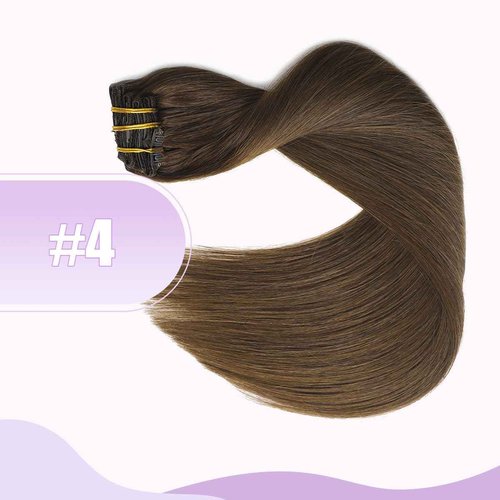 Sindra Hair Extensions Real Human Hair Clip ins 14Inch Chocolate Brown Clip in Hair Extensions Real Human Hair Extensions Clip ins Remy Straight For Woman 100G 6Pcs(clip#4 14inch)