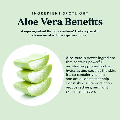 Bare Botanics Aloe Vera Mist + Brown Sugar Body Scrub