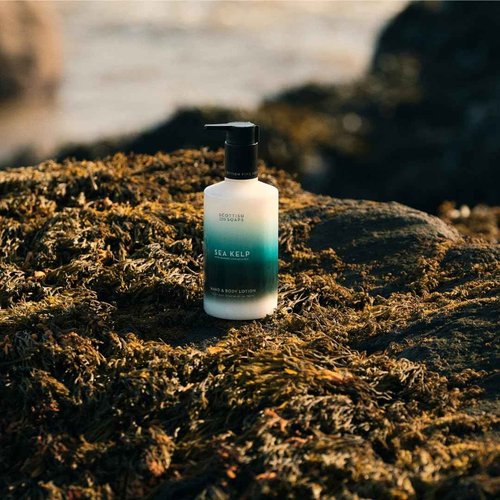 Scottish Fine Soaps Sea Kelp Hand & Body Lotion, Fresh Marine Scent with Green Fruity Notes, Mineral-Rich Formula, 300ml