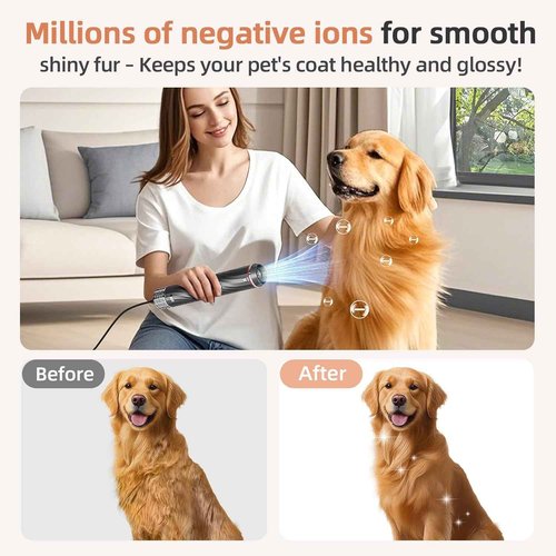 Morlivan Dog Hair Dryer with Slicker Brush, High Velocity Pet Blow Dryer for Grooming, Low Heat Low Noise Dog Grooming Supplies for Home Use, Includes 4 Nozzles for Drying & Brushing, Gray