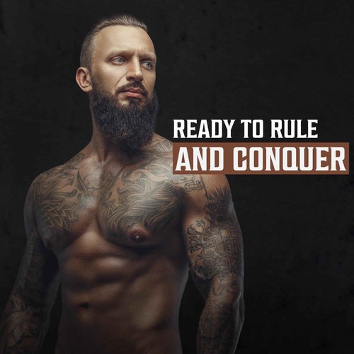 Viking Revolution Beard Conditioner w/Argan & Jojoba Oils - Softens & Strengthens - Sandalwood Scent - Beard Conditioner w/Beard Oil (17oz Conditioner)