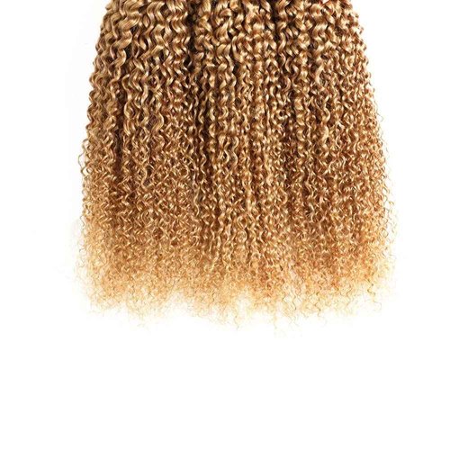 20 22 24 inch 1B27 Honey Blonde Kinky Curly Human Hair Bundles Ombre Blonde Curly Wave Bundles Human Hair Unprocessed Brazilian Virgin Weave Hair Bundles Kinky Curly Bundles Human Hair