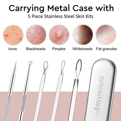 Amconsure Facial Steamer - Nano Ionic Face Steamer Warm Mist Steamer for Home Sauna SPA, Humidifier for Face Steamer for Deep Cleaning Unclogs Pores Sinuses - Bonus 5 Piece Stainless Steel Skin Kit