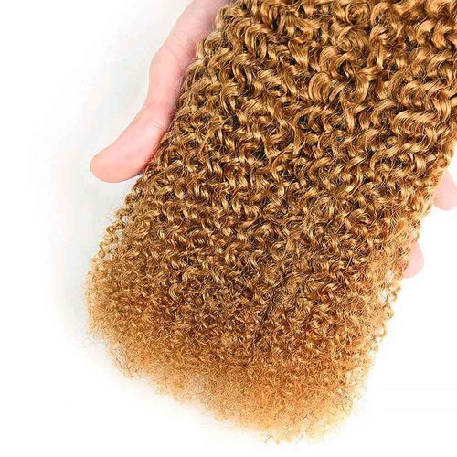 Honey Blonde Human Hair Bundles 14 16 18 Inch Kinky Curly Wave Bundles Human Hair Unprocessed Native Virgin Hair 100/PC 3 Extensions #27 Blonde Color Wet and Wavy Human Hair Extensions for Women