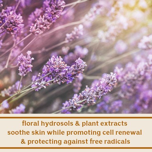 Solluna by Kimberly Snyder Hydrating Anti-Aging Facial Cleanser — Soothing pH Balanced Gentle Face Wash — Moisturizing Natural Oils & Plant Botanicals (4oz) Cruelty-Free, Non-Toxic, Vegan & Non-GMO