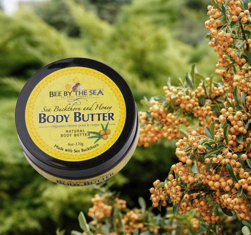 Bee by the Sea Honey and Sea Buckthorn Body Butter Cream for Dry Skin, 6 oz