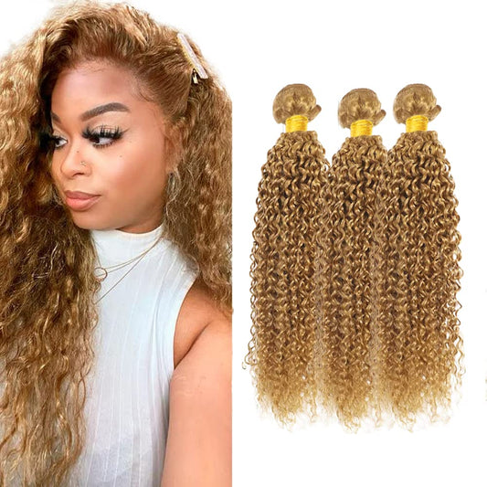 Blonde Kinky Curly Bundles Color #27 Human Hair Bundles Brazilian Grade 8A Virgin Human Hair 3 Bundles 10 12 14 Inch #27 Kinky Curly Bundles Honey Blonde Bundles 300g