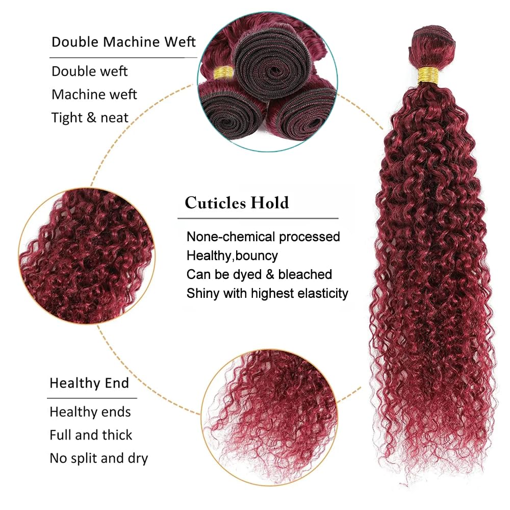 Burgundy Bundles 99J Kinky Curly Human Hair Bundles Brazilian Burgundy Kinky Curly Bundles Human Hair Unprocessed Virgin Hair 1 Bundle 20 Inch 99J Bundles Human Hair Weave