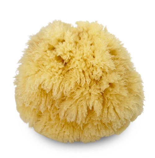 Real Natural Sea Sponges Multipack - 5pc Spa Gift Set in Premium Bag, Kind on Skin, for Bath Shower Facial Cleansing, Pamper Moms Brides Girlfriends & Teens (5 Pack Standard Packaging)