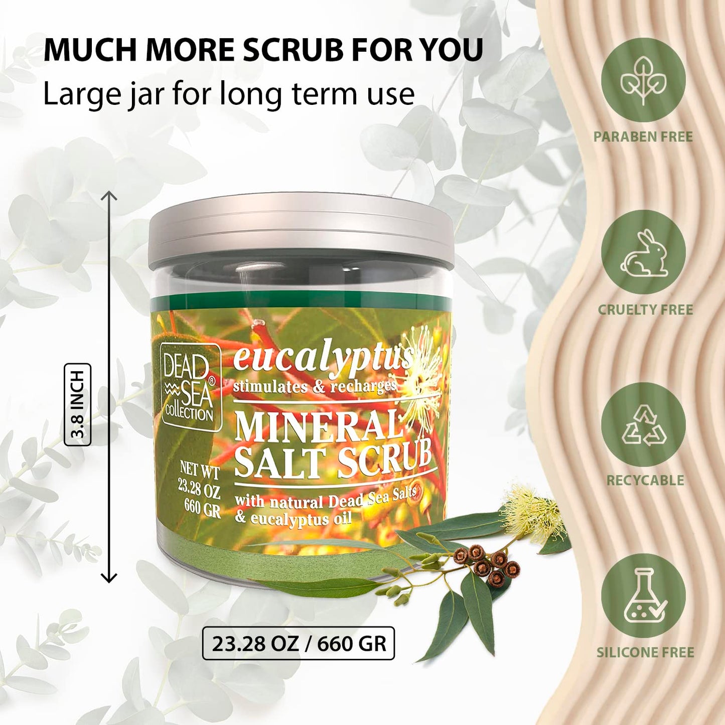 Dead Sea Collection Eucalyptus Salt Body Scrub - Large 23.28 OZ - with Pure Oils and Dead Sea Minerals