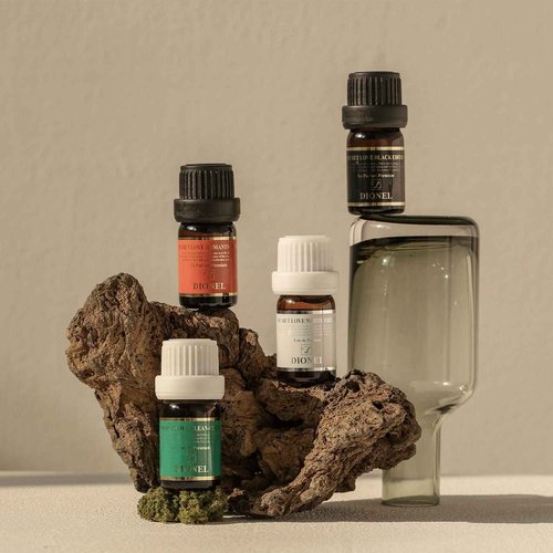 Dionel Secret Love White Edition inner perfume fragrance oil for underwear women Long-lasting feminine Enticing Musky Scent 5ml/0.17fl.oz