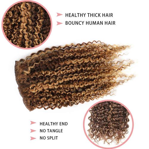 Highlight P4/27 Kinky Curly Clip Ins 12 Inch 110g 8pcs 3C 4A Curly Clip In Hair Extensions Real Human Hair Full Head for Women 100% Brazilian Remy Human Hair Extensions with 20 Clips #4/27