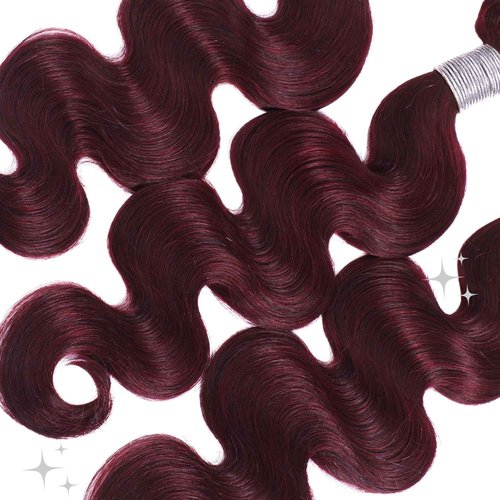ALHER 99j Color Human Hair Bundles Body Wave, 12A Dark Burgundy Wine Red Colored Bundles Human Hair, 100% Unprocessed Virgin Remy Hair Soft Thick Single Wavy Bundle Sew In Double Weft 10 Inch