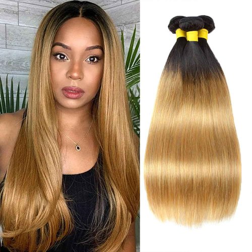 Honey Blonde Straight Bundles Human Hair T1B/27 Ombre Bundles Double Weft Brazilian Human Hair Sew-In Weave Extensions 18 20 22 Inch（Black Ombre Honey Blonde）