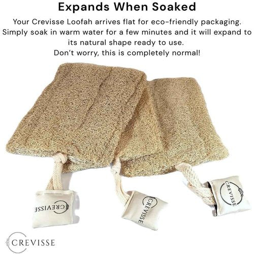 Crevisse Natural Egyptian Loofah Sponge – Exfoliating Shower Body Scrubber (Pack Options) (3 Count (Pack of 1))