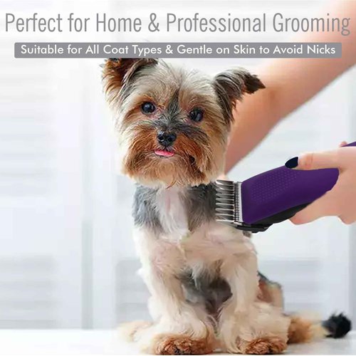 Professional A5-Style Animal Clipper Stainless Steel Color-Coded Snap-on Attachment Guard Guide Comb, 1/8"-1" Compatible with Wahl KM Series Oster A5 Andis Detachable Blade Pet Dog Groomers (#2-1/4")