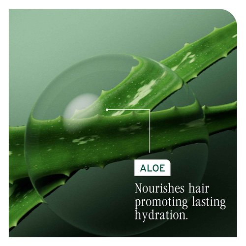 BIOLAGE Hydra Source Shampoo Refill - For Dry Hair, Gently Cleanses, Restores Moisture Balance, Adds Shine & Softness, Infused with Micro-Filtered Aloe Vera & Fermented Hyaluronic Acid, Vegan