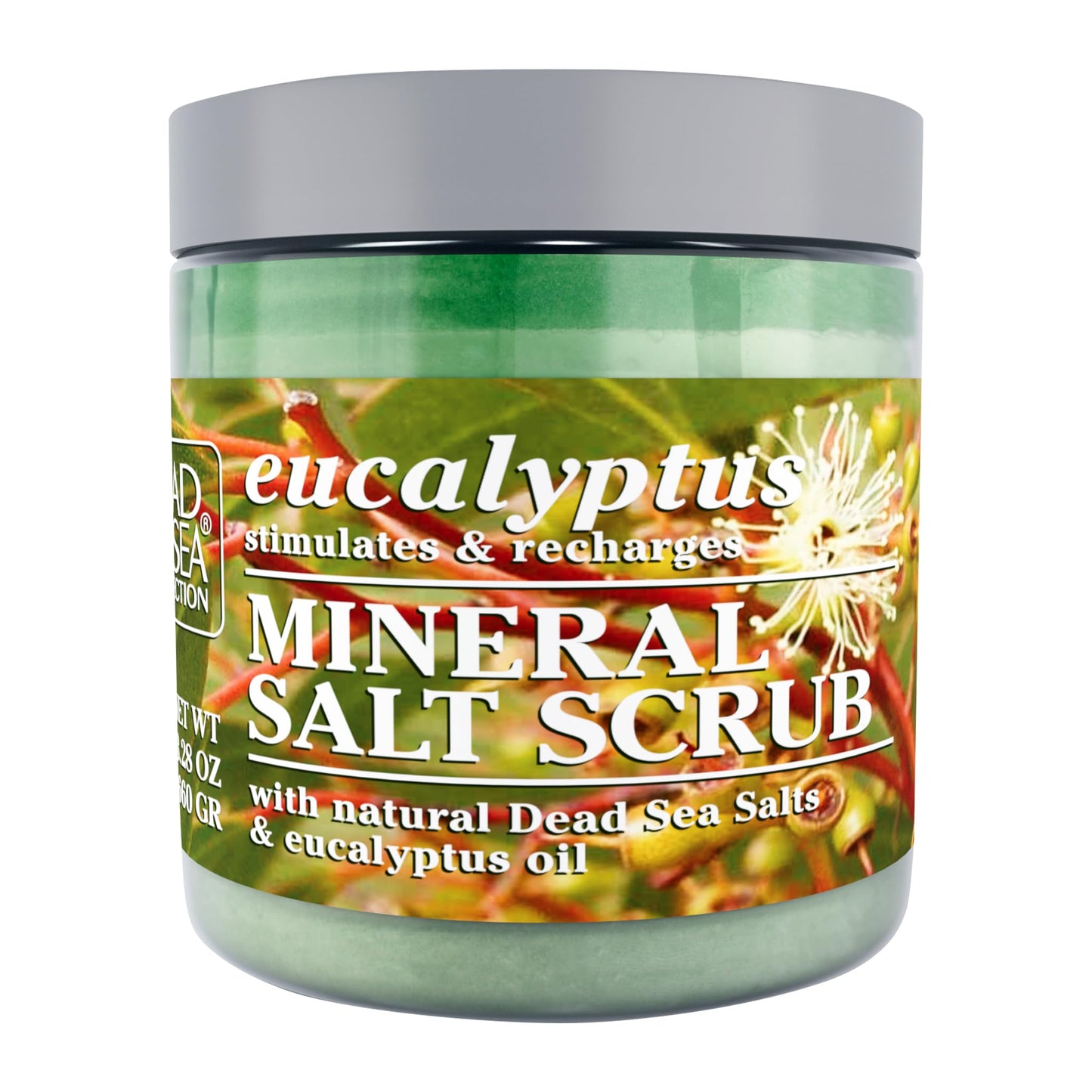 Dead Sea Collection Eucalyptus Salt Body Scrub - Large 23.28 OZ - with Pure Oils and Dead Sea Minerals