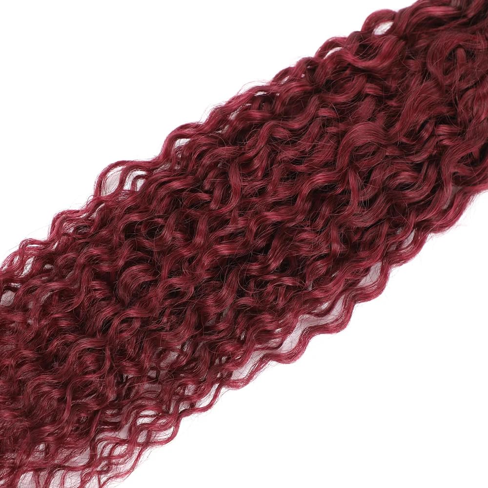 Burgundy Bundles 99J Kinky Curly Human Hair Bundles Brazilian Burgundy Kinky Curly Bundles Human Hair Unprocessed Virgin Hair 1 Bundle 20 Inch 99J Bundles Human Hair Weave