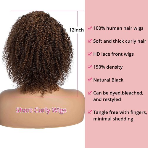 Short Curly Human Hair Lace Front Wigs for Black Women 13x5 HD Lace Side Part Wigs Pre Plucked Brazilian Virgin Human Hair Wigs with Baby Hair 150% Density Ombre Highlight Brown (12 inch)