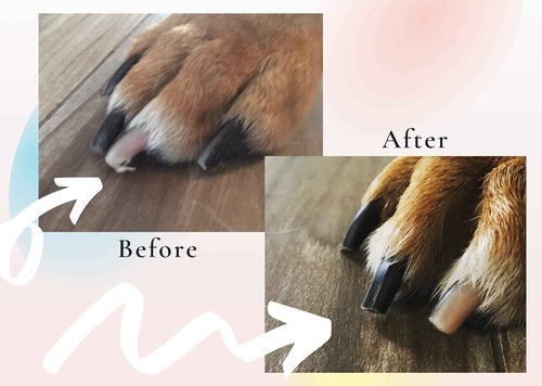 De' Vora Kicks Replaceable Multi-Pack Nail File, Emery Boards, Buffering Files for Pet Manicure & Pedicure- Trim, File, Smooth Nail Files Set Exclusively for Scratch Square Dog Grooming Toys (XL)