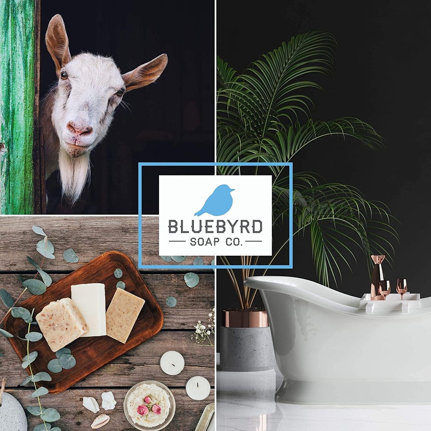 Bluebyrd Soap Vanilla Mint Natural Goat's Milk Soap Bar | Gentle Exfoliating Goatmilk Bar Soaps Made with Organic Ingredients | Coconut Oil & Shea Butter Vanilla Soap (Vanilla Mint)