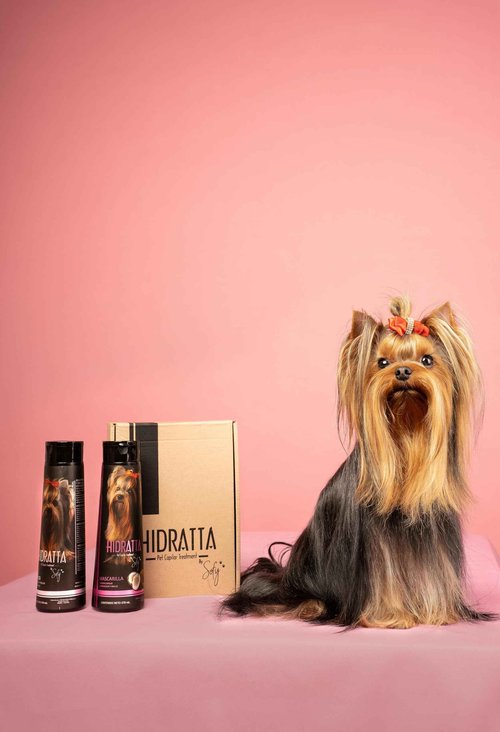 Hidratta Premium Dog & Cat Hydrating Shampoo + Mask Kit – Henna & Natural Oils for Shiny, Tangle-Free Coat – 12.5 oz / 370 ml Set