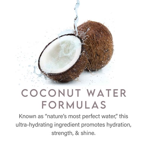 ALURAM Coconut Water Daily Shampoo for Men and Women, Detoxifying Hydration and Volume for All Hair Types, 33.8 Fl Oz