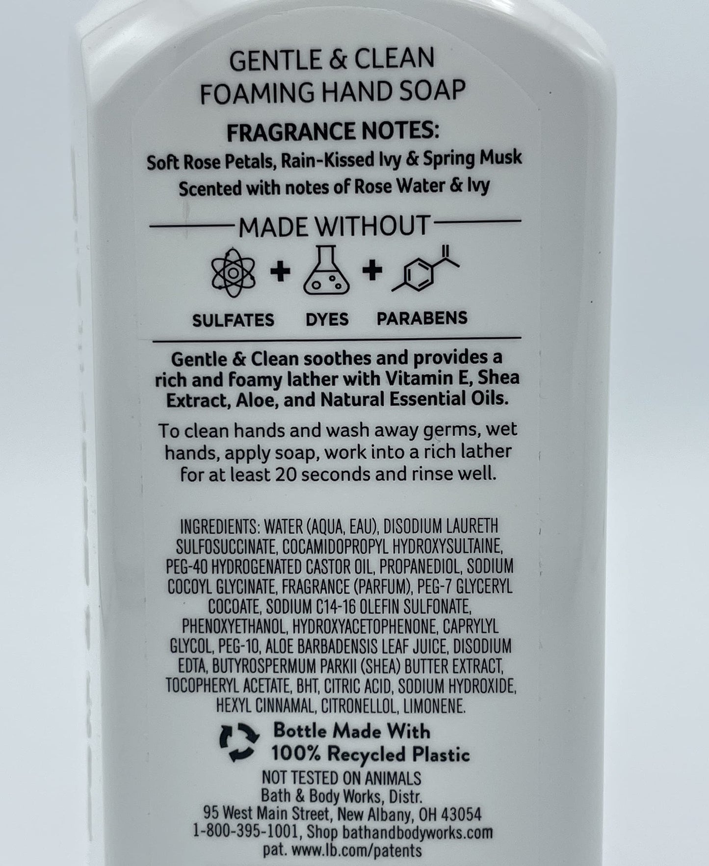 Bath and Body Works Gentle & Clean Foaming Hand Soap, 8.75 fl. oz. (Rose Water & Ivy, 2-Pack)