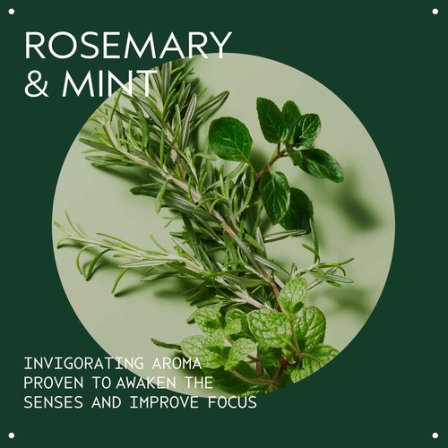 Aveda Rosemary Mint Hand & Body Wash | Liquid Hand Soap and Body Wash | with Invigorating Aroma of Certified Organic Peppermint & Rosemary, 8.5 Fl Oz