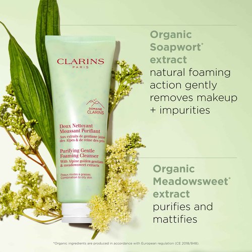 Clarins Purifying Cleansing Duo