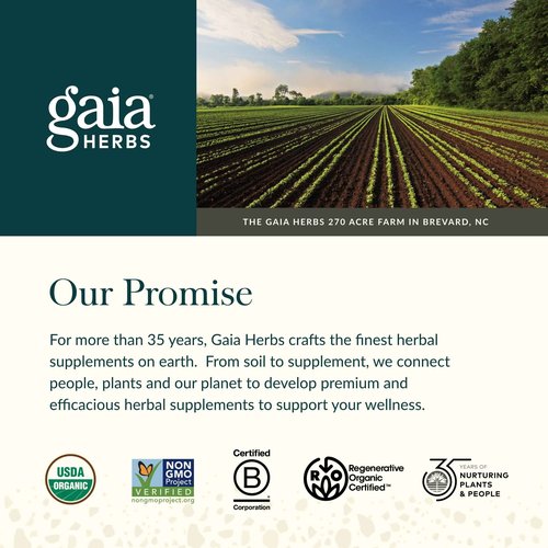 Gaia Herbs Astragalus Supreme - Immune & Antioxidant Support* - Herbal Supplement with Astragalus Root, Schisandra Berry & Ligustrum - 60 Vegan Liquid Phyto-Capsules (15-Day Supply)