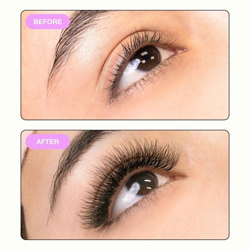 Curacoro Camellia Promade Fans - Handmade Volume Promade Eyelashes Fans 5D to 10D, C CC D Curl, Thickness 0.03~0.07mm, 7-14mm Mix Lengths, Professional Long-Lasting Promade Lash Fans