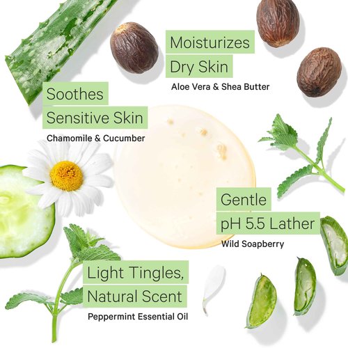 Tree to Tub Lavender and Peppermint Body Wash Sensitive Skin Dry Skin pH Balanced Moisturizing Body Wash Hydrating Sulfate Free Vegan Body Soap for Women & Men Organic Shea Butter Natural Aloe Vera